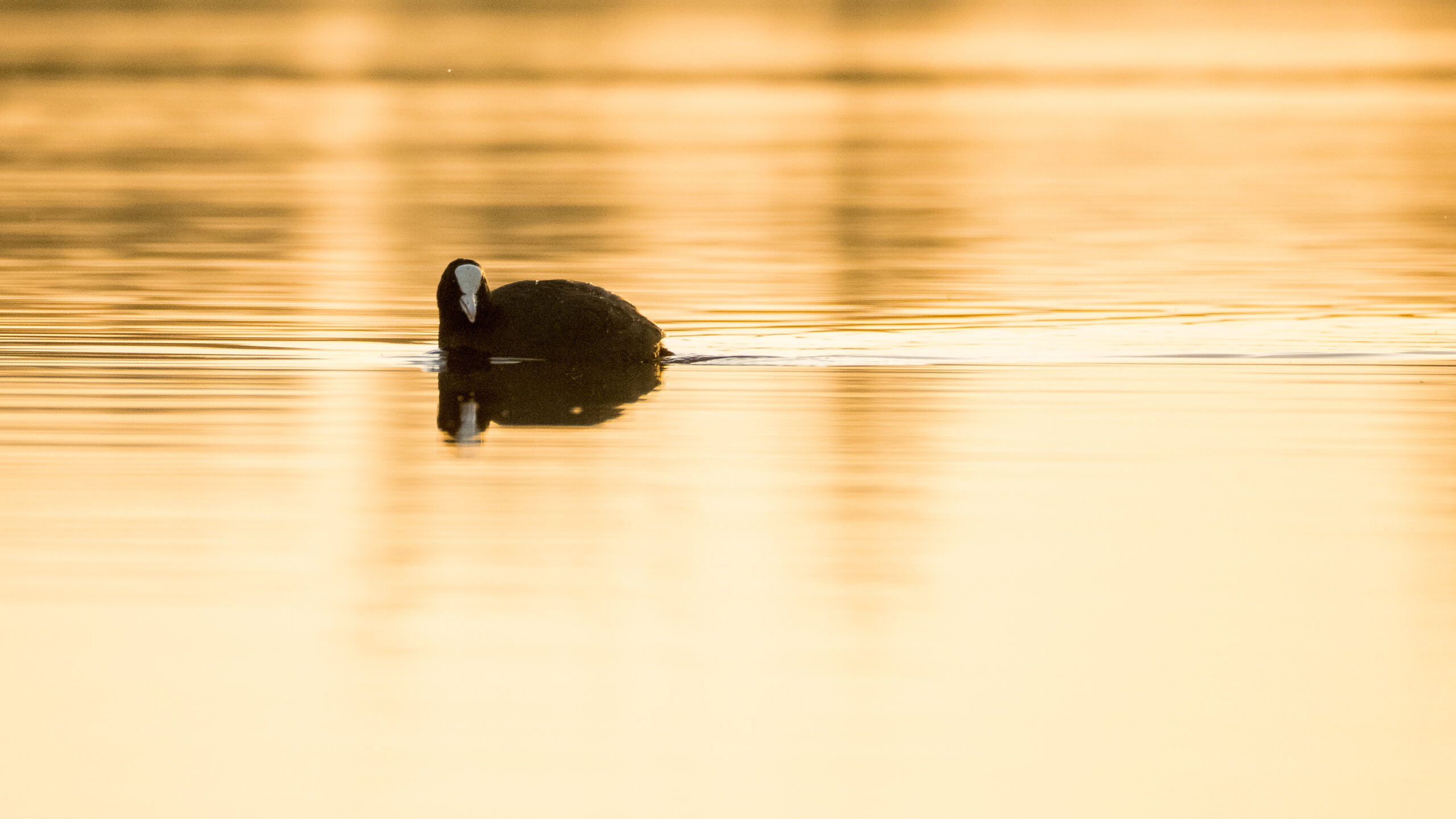 20250307-175338-_RJ12573-NR